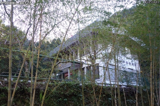 【北台灣行】北海岸.北橫公路(2014.1.19~01.25)-Day 5