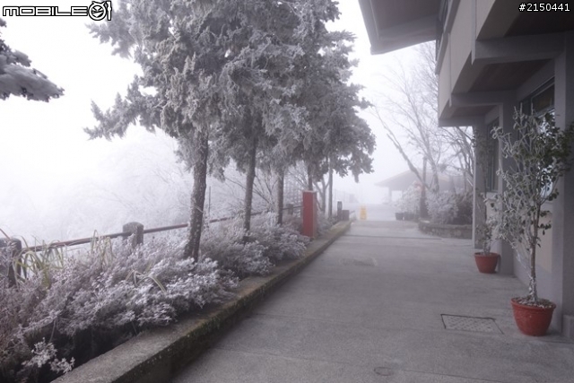 【北台灣行】北海岸.北橫公路(2014.1.19~01.25)-Day 4