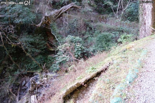 【北台灣行】北海岸.北橫公路(2014.1.19~01.25)-Day 6