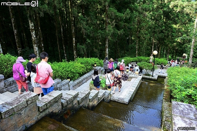 明池國家森林遊樂區之行