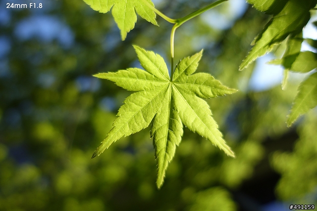 我可以抗議一下RX100M3韓國官網為啥說明最多嗎?