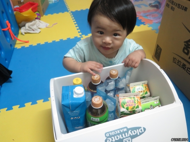 Igloo 16QT 小冰桶