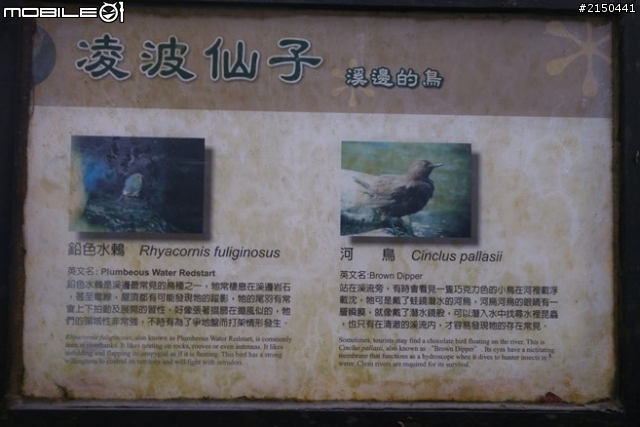 【北台灣行】北海岸.北橫公路(2014.1.19~01.25)-Day 3