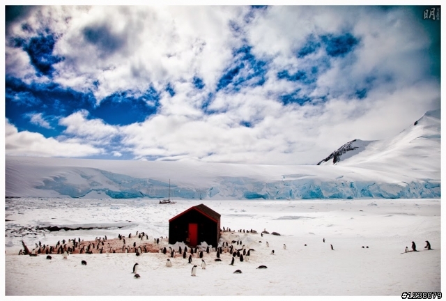 2013 Antarctica 南極