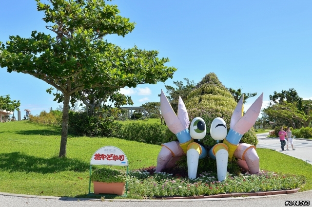 D600 沖繩自由行(圖多慎入)