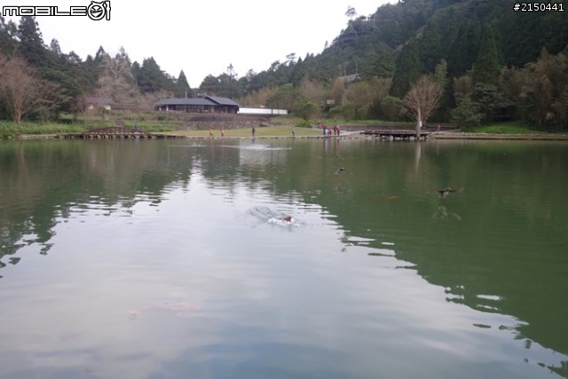 【北台灣行】北海岸.北橫公路(2014.1.19~01.25)-Day 5