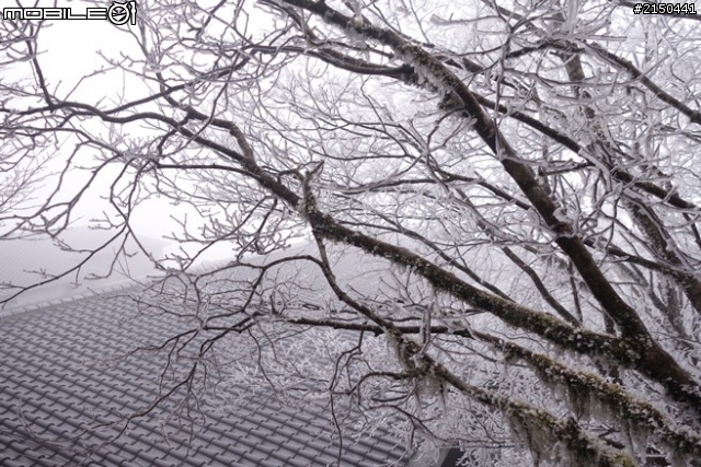 【北台灣行】北海岸.北橫公路(2014.1.19~01.25)-Day 4