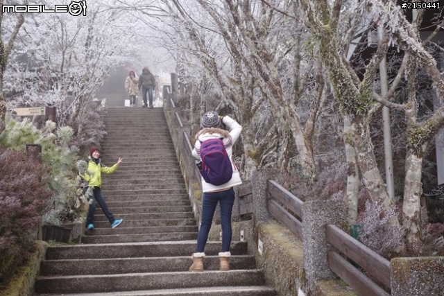 【北台灣行】北海岸.北橫公路(2014.1.19~01.25)-Day 4