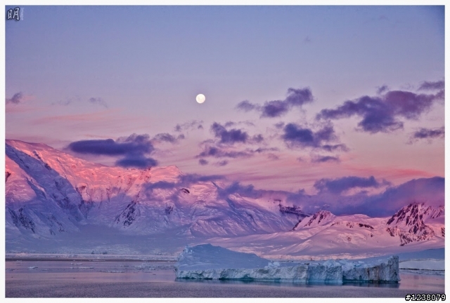 2013 Antarctica 南極