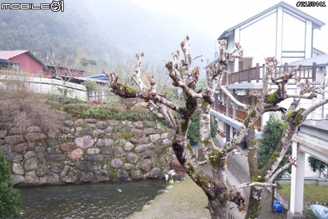【北台灣行】北海岸.北橫公路(2014.1.19~01.25)-Day 3