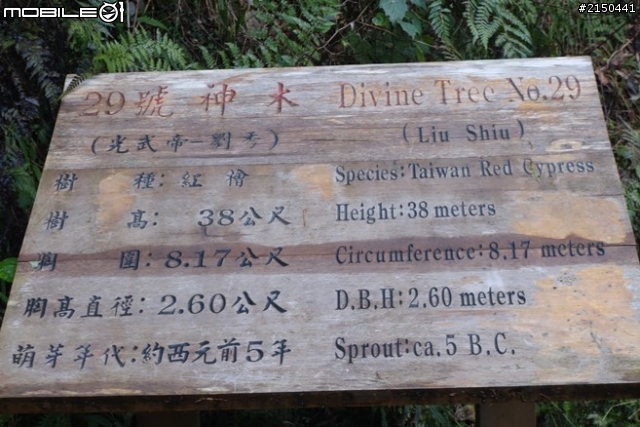 【北台灣行】北海岸.北橫公路(2014.1.19~01.25)-Day 4