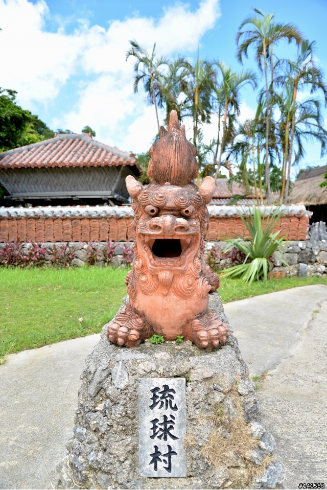D600 沖繩自由行(圖多慎入)