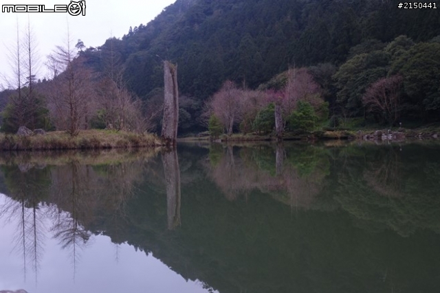 【北台灣行】北海岸.北橫公路(2014.1.19~01.25)-Day 5