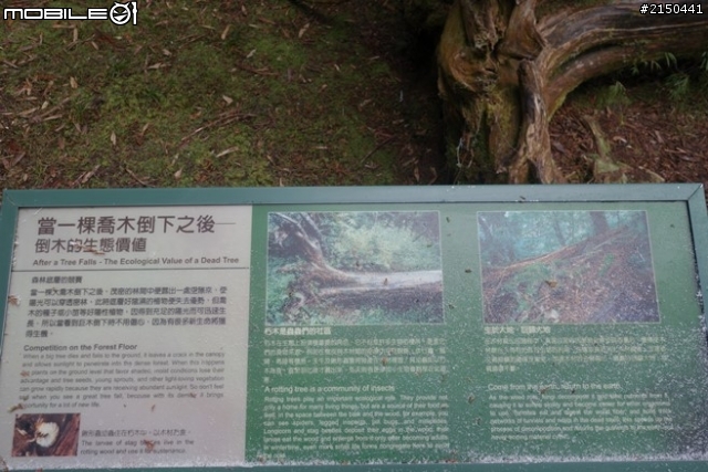 【北台灣行】北海岸.北橫公路(2014.1.19~01.25)-Day 4