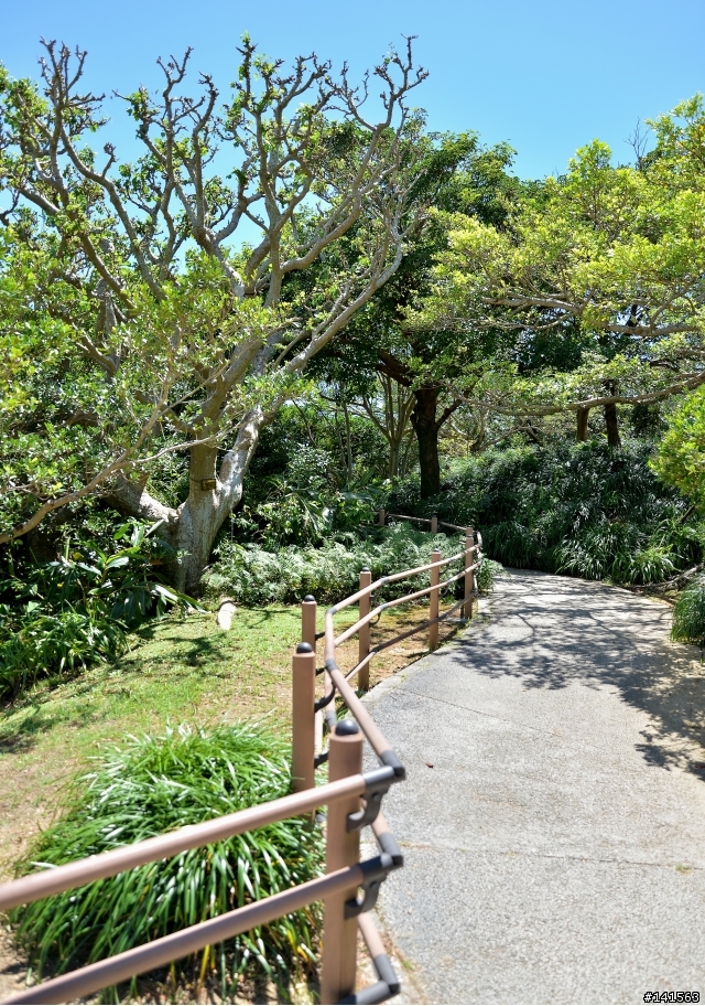 D600 沖繩自由行(圖多慎入)