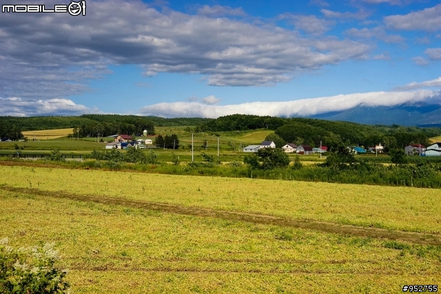 分享7月去的富良野薰衣草季