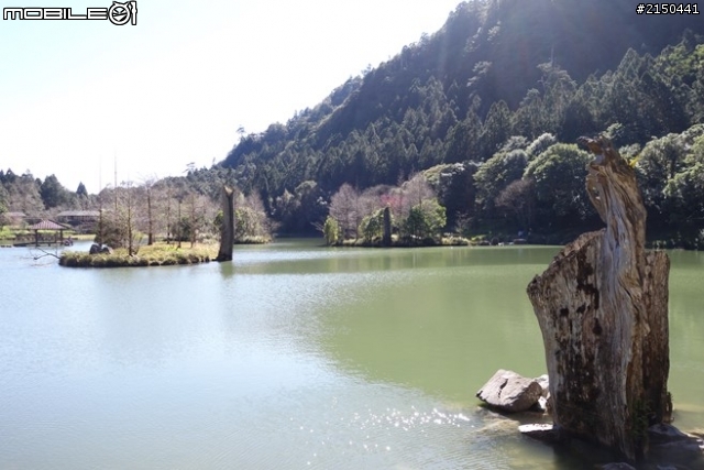【北台灣行】北海岸.北橫公路(2014.1.19~01.25)-Day 6