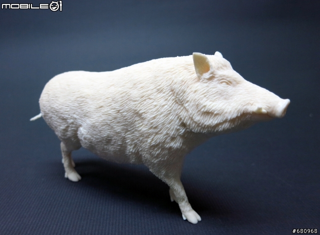 山豬來了(仿真動物模型製作--1:10th scale 台灣野豬[Sus scrofa taivanus])
