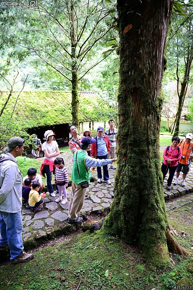 明池國家森林遊樂區之行