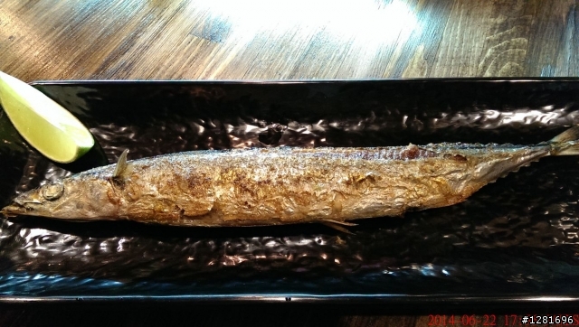 慶祝酒肆和風洋食創意料理