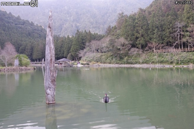 【北台灣行】北海岸.北橫公路(2014.1.19~01.25)-Day 5