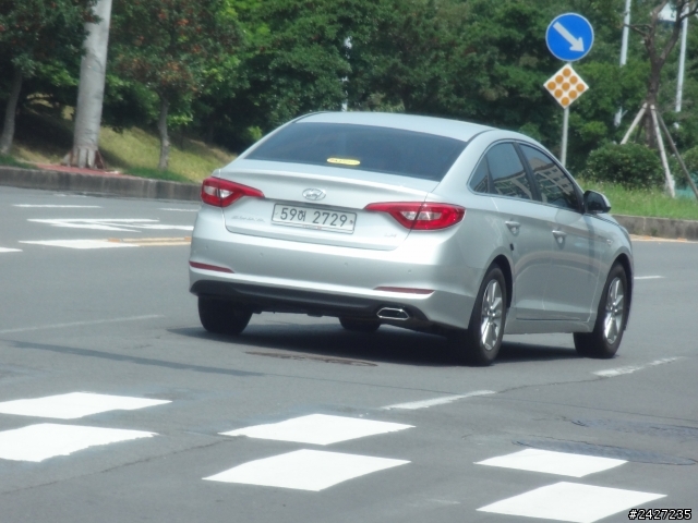 濟州島車拍(圖多慎入)