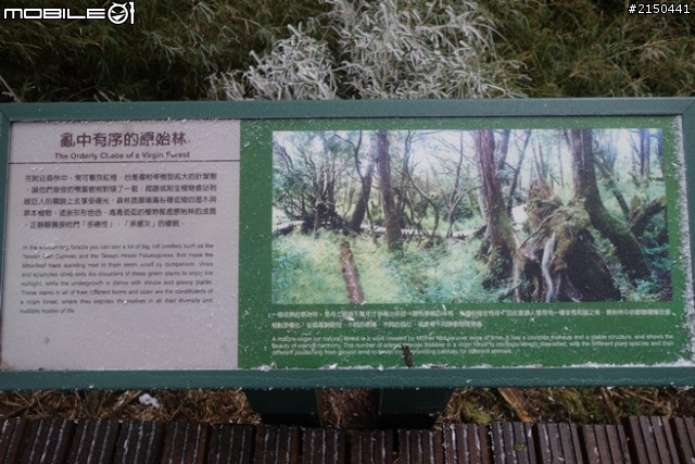 【北台灣行】北海岸.北橫公路(2014.1.19~01.25)-Day 4