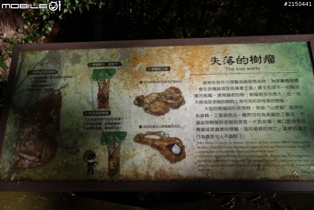 【北台灣行】北海岸.北橫公路(2014.1.19~01.25)-Day 6