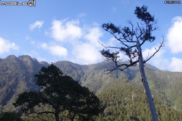 【北台灣行】北海岸.北橫公路(2014.1.19~01.25)-Day 5