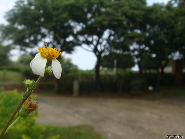國中生的長途(?)騎車初體驗~~