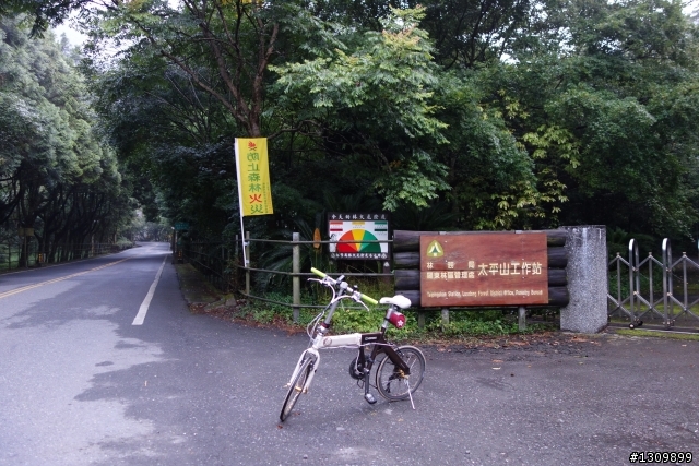 雲霧繚繞、鬱鬱蒼蒼，2014 鐵騎探索太平山