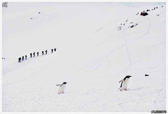 2013 Antarctica 南極