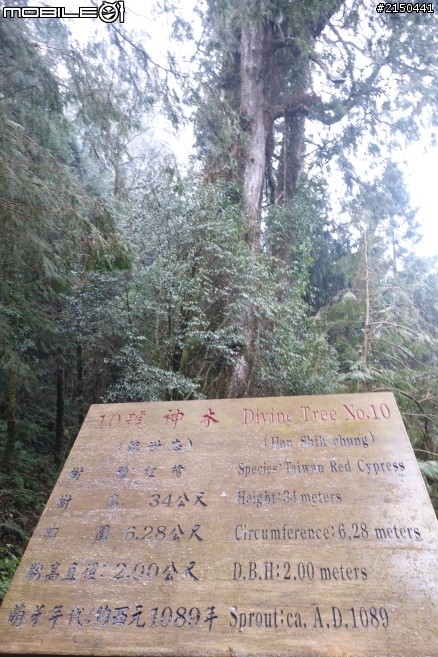 【北台灣行】北海岸.北橫公路(2014.1.19~01.25)-Day 4