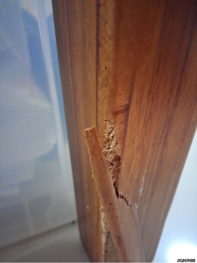 實木家具 撞到裂開 如何處理