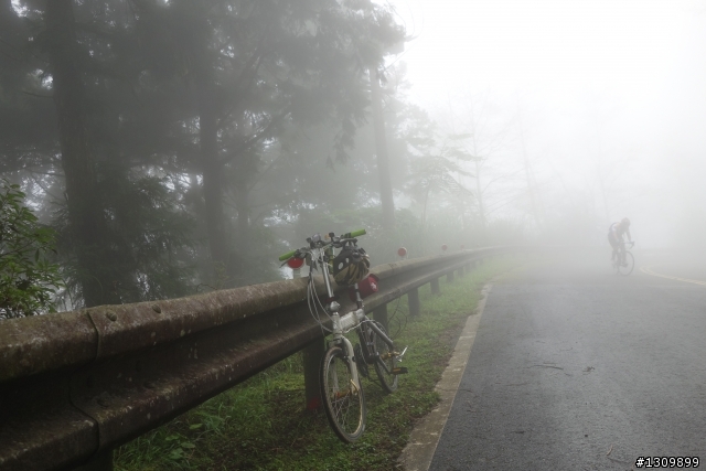 雲霧繚繞、鬱鬱蒼蒼，2014 鐵騎探索太平山