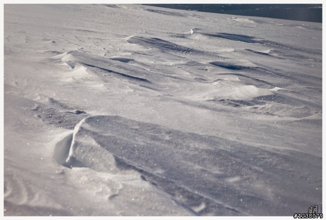 2013 Antarctica 南極