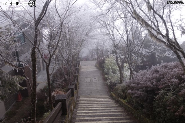 【北台灣行】北海岸.北橫公路(2014.1.19~01.25)-Day 4