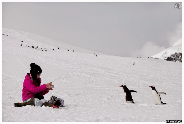 2013 Antarctica 南極