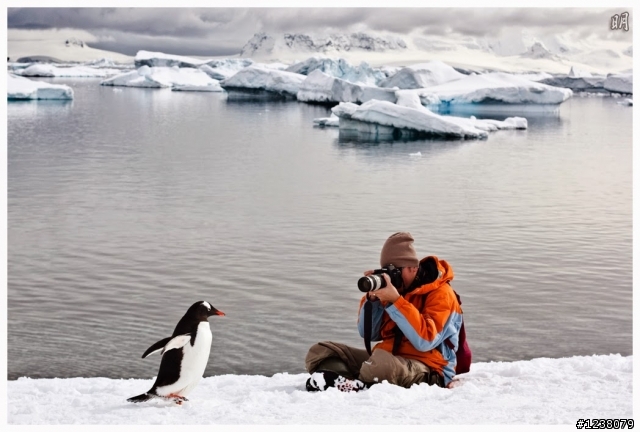 2013 Antarctica 南極