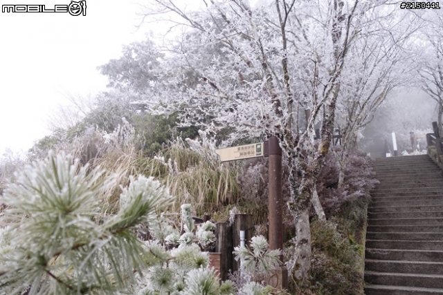 【北台灣行】北海岸.北橫公路(2014.1.19~01.25)-Day 4