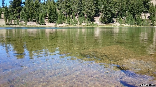 Lassen Vocanic Park and Crater Lake