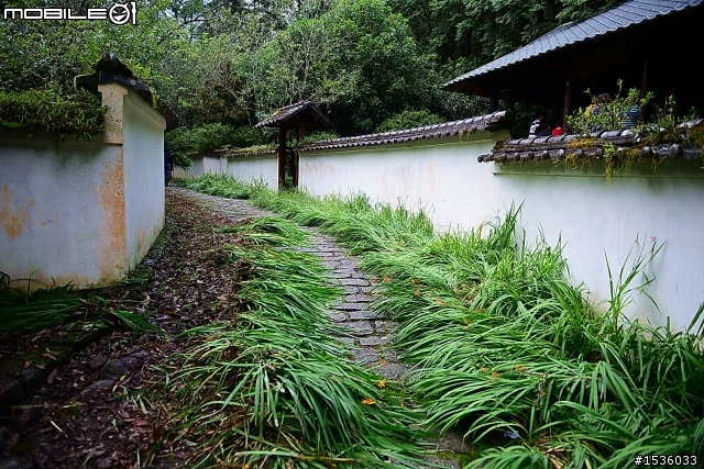 明池國家森林遊樂區之行
