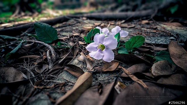 我与我的5DIII+SAMYANG 14MM作品分享^_^