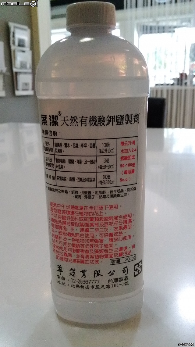 求助!福祿桐泡水爛根還救的活嗎?