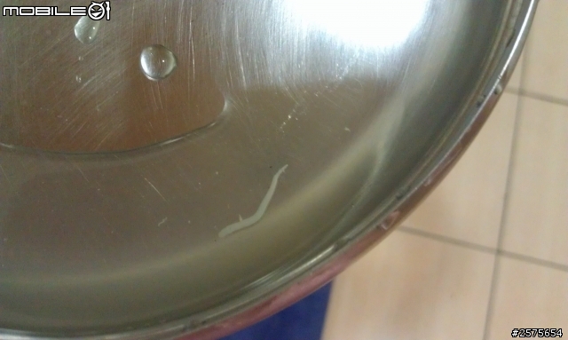 蛤仔湯裏頭的條狀物 !? 是寄生蟲嗎?(有圖有真相)