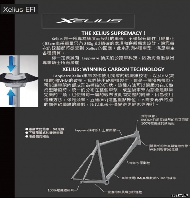 法國3P LAPIERRE EFI ULTIMATE 一級碳車大力開(香)文