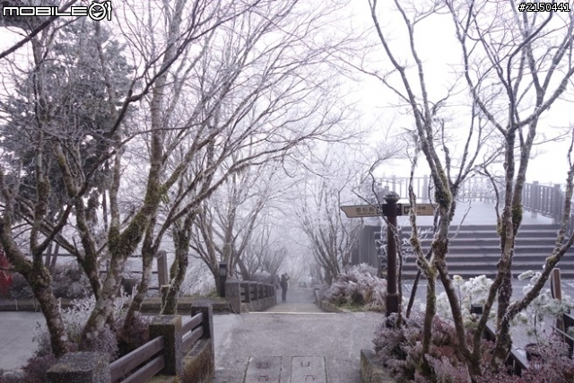 【北台灣行】北海岸.北橫公路(2014.1.19~01.25)-Day 4
