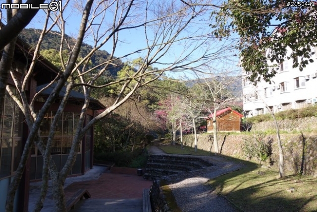 【北台灣行】北海岸.北橫公路(2014.1.19~01.25)-Day 5