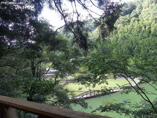 明池國家森林遊樂區之行