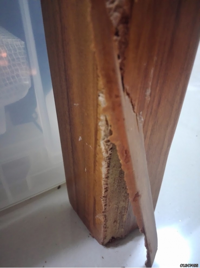 實木家具 撞到裂開 如何處理